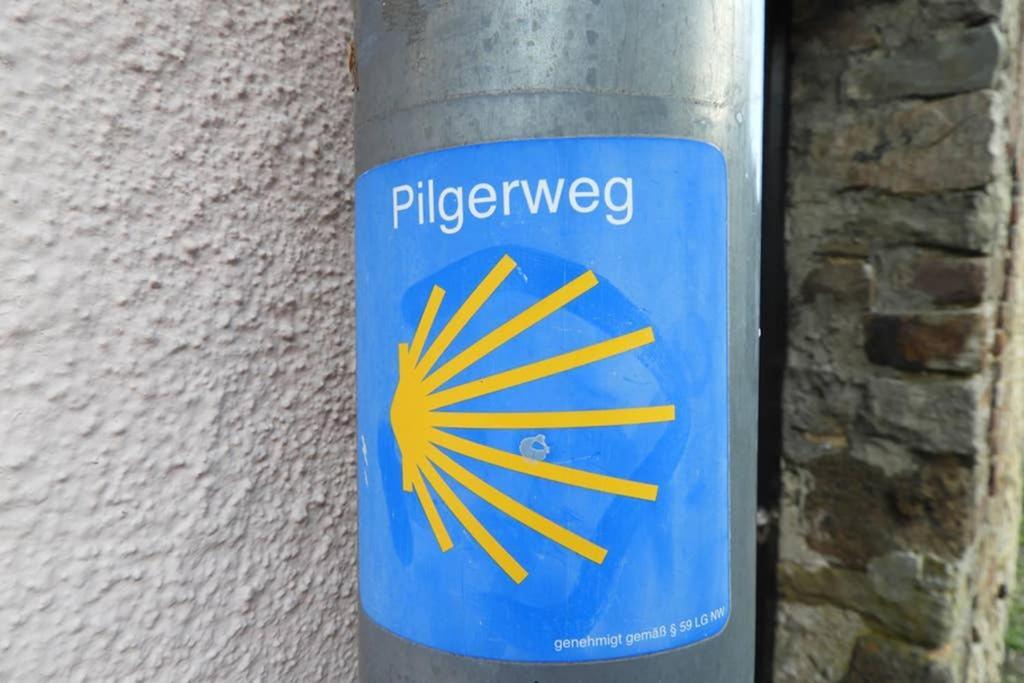 Eifelschaetzchen Am Kronenburger Dahlem (Euskirchen)